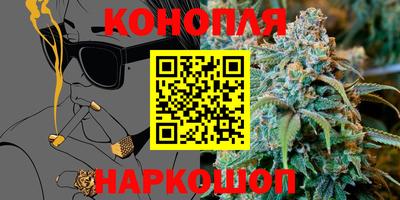 гидропоника Будённовск