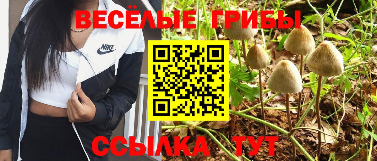 Псилоцибиновые грибы GOLDEN TEACHER  Вход с VPN  Псилоцибиновые грибы Psilocybe  Старая Русса 